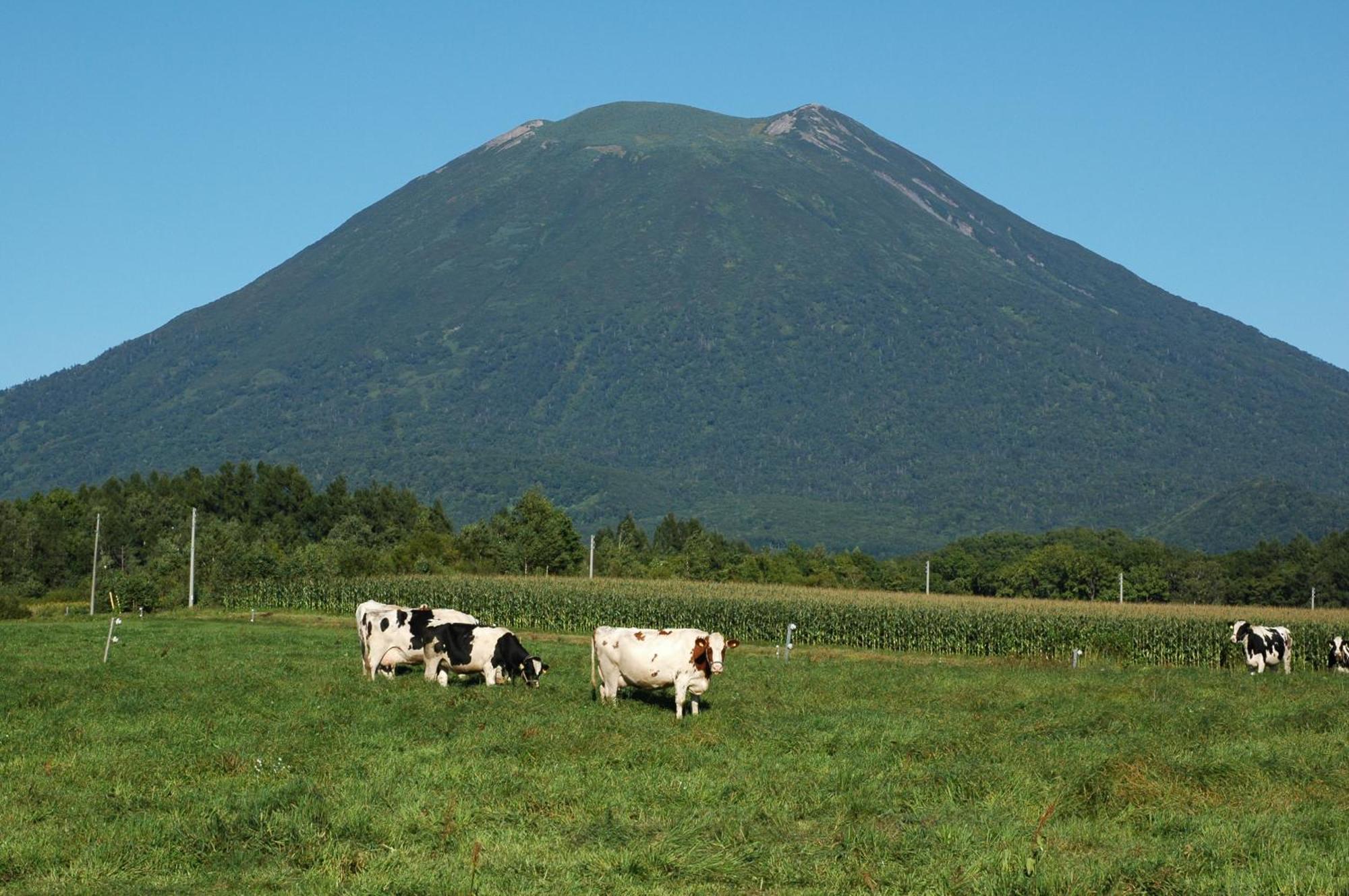 Niseko Highland Cottages Luaran gambar